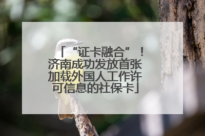 “证卡融合”！济南成功发放首张加载外国人工作许可信息的社保卡