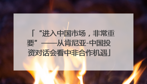 “进入中国市场，非常重要”——从肯尼亚-中国投资对话会看中非合作机遇