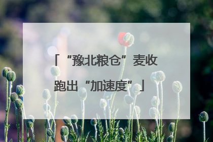 “豫北粮仓”麦收跑出“加速度”