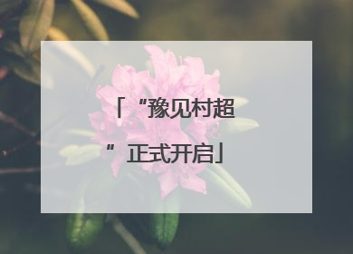 “豫见村超”正式开启
