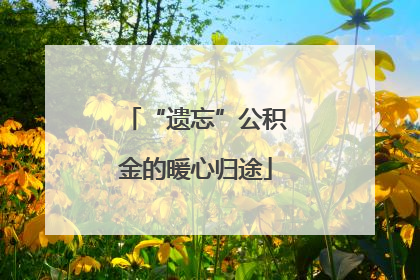 “遗忘”公积金的暖心归途
