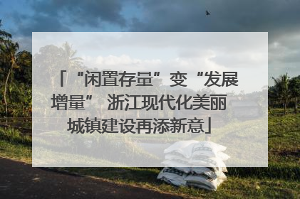 “闲置存量”变“发展增量” 浙江现代化美丽城镇建设再添新意