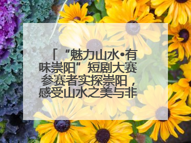“魅力山水•有味崇阳”短剧大赛参赛者实探崇阳，感受山水之美与非遗文化“提琴戏”魅力