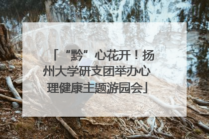 “黔”心花开！扬州大学研支团举办心理健康主题游园会