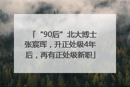 “90后”北大博士张宸珲，升正处级4年后，再有正处级新职