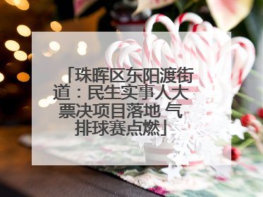 珠晖区东阳渡街道：民生实事人大票决项目落地 气排球赛点燃