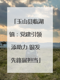 玉山县临湖镇：党建引领添助力 银发先锋展担当
