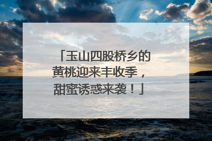 玉山四股桥乡的黄桃迎来丰收季，甜蜜诱惑来袭！