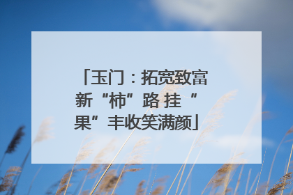 玉门：拓宽致富新“柿”路 挂“果”丰收笑满颜