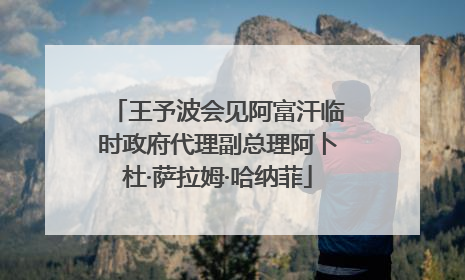 王予波会见阿富汗临时政府代理副总理阿卜杜·萨拉姆·哈纳菲