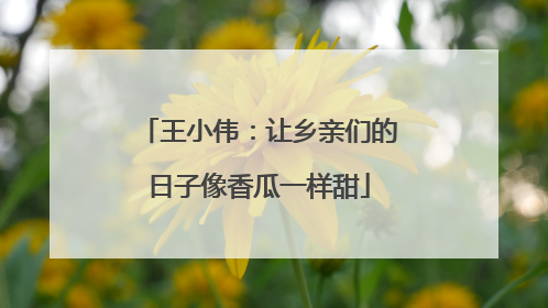 王小伟：让乡亲们的日子像香瓜一样甜