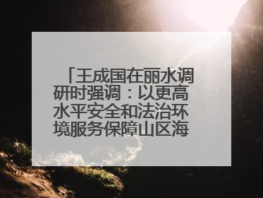 王成国在丽水调研时强调：以更高水平安全和法治环境服务保障山区海岛县高质量发展