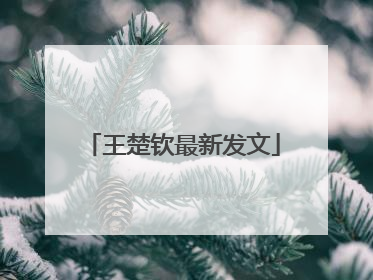 王楚钦最新发文