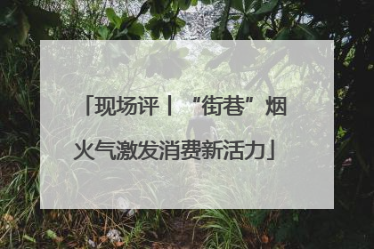 现场评丨“街巷”烟火气激发消费新活力