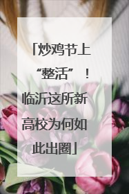 炒鸡节上“整活”！临沂这所新高校为何如此出圈