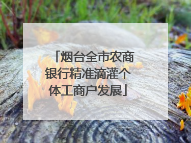 烟台全市农商银行精准滴灌个体工商户发展