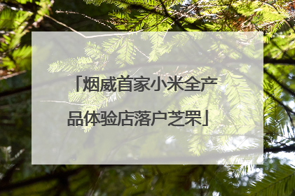 烟威首家小米全产品体验店落户芝罘