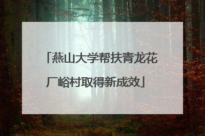 燕山大学帮扶青龙花厂峪村取得新成效