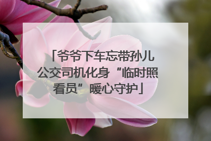 爷爷下车忘带孙儿 公交司机化身“临时照看员”暖心守护