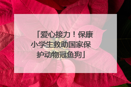 爱心接力！保康小学生救助国家保护动物冠鱼狗