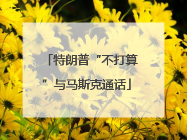 特朗普“不打算”与马斯克通话