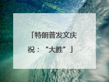 特朗普发文庆祝：“大胜”