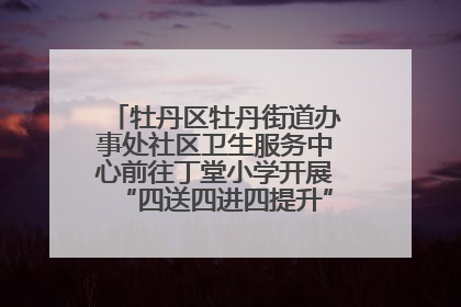 牡丹区牡丹街道办事处社区卫生服务中心前往丁堂小学开展“四送四进四提升”及无烟日宣传活动