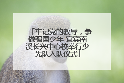 牢记党的教导，争做强国少年 宜宾南溪长兴中心校举行少先队入队仪式