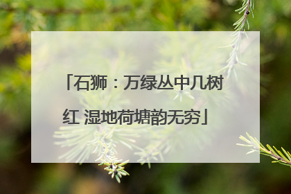 石狮：万绿丛中几树红 湿地荷塘韵无穷