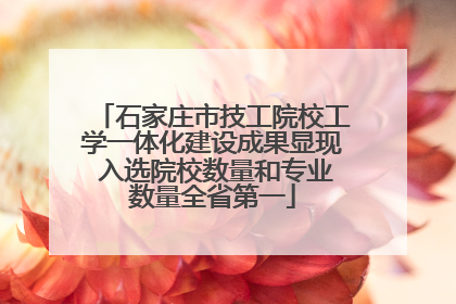 石家庄市技工院校工学一体化建设成果显现 入选院校数量和专业数量全省第一