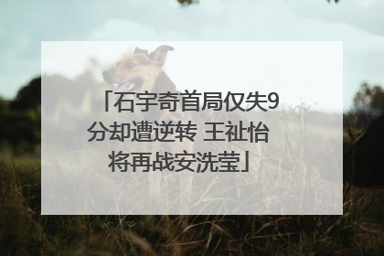 石宇奇首局仅失9分却遭逆转 王祉怡将再战安洗莹
