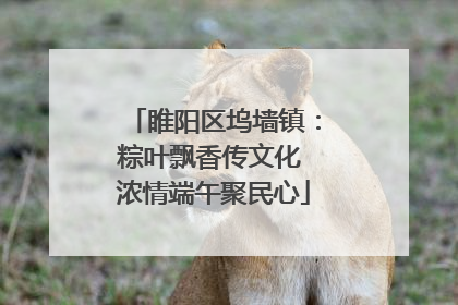 睢阳区坞墙镇：粽叶飘香传文化 浓情端午聚民心