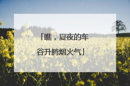 瞧，夏夜的车谷升腾烟火气