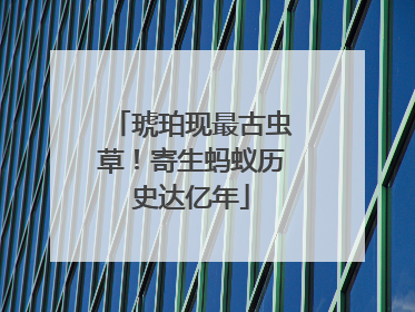 琥珀现最古虫草！寄生蚂蚁历史达亿年