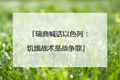 瑞典喊话以色列：饥饿战术是战争罪