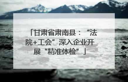 甘肃省肃南县：“法院+工会”深入企业开展“精准体检”