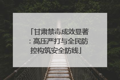 甘肃禁毒成效显著：高压严打与全民防控构筑安全防线
