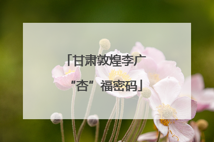 甘肃敦煌李广“杏”福密码