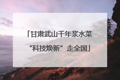 甘肃武山千年浆水菜“科技焕新”走全国