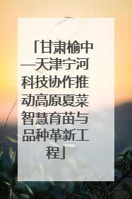 甘肃榆中—天津宁河科技协作推动高原夏菜智慧育苗与品种革新工程