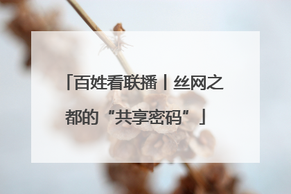 百姓看联播丨丝网之都的“共享密码”