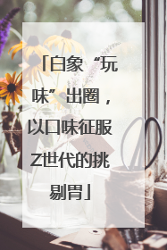 白象“玩味”出圈，以口味征服Z世代的挑剔胃