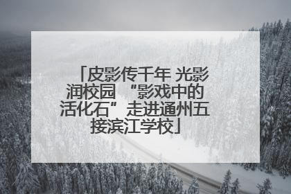皮影传千年 光影润校园 “影戏中的活化石”走进通州五接滨江学校