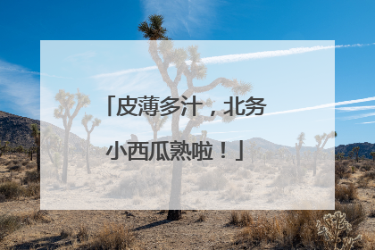 皮薄多汁，北务小西瓜熟啦！