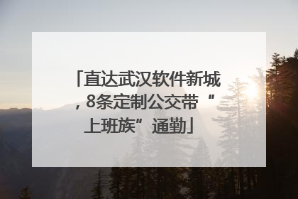 直达武汉软件新城，8条定制公交带“上班族”通勤