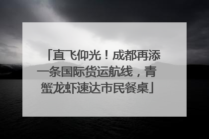 直飞仰光！成都再添一条国际货运航线，青蟹龙虾速达市民餐桌