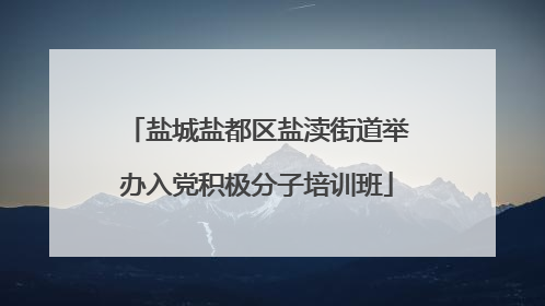 盐城盐都区盐渎街道举办入党积极分子培训班