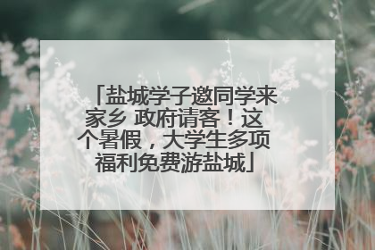 盐城学子邀同学来家乡 政府请客！这个暑假，大学生多项福利免费游盐城