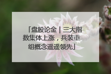 盘股论金｜三大指数集体上涨，兵装重组概念遥遥领先