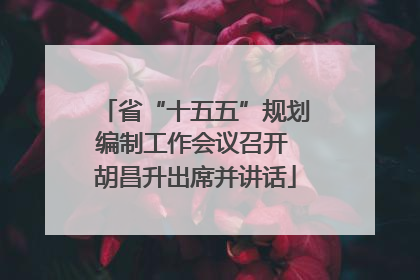 省“十五五”规划编制工作会议召开 胡昌升出席并讲话